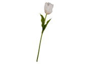 tulipe "Big" 85cm blanc