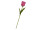 Tulpe "Big" 85cm pink