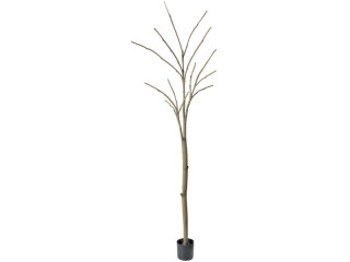 arbre en pot sans feuilles 250cm