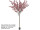 arbre en pot sans feuilles 250cm