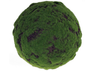 moss ball "Highland" Ø 26cm
