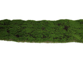 moss mat "Highland" 100 x 30cm