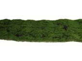 tapis de mousse "Highland" 100 x 30cm