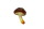 champignon marron/blanc 6cm