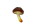 mushroom brown/white 6cm