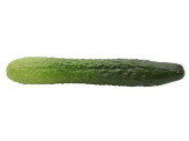 concombre natural vert 26cm