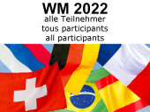 Fahnen/Flaggen-Set "32 Nationen WM 2022" Stoff