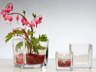 vase en verre "cube" diff. tailles