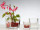 vase en verre "cube" diff. tailles