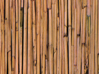 Selbstklebefolie "Bambus" 90cm x 2m