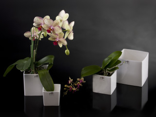 vase porcelaine "CUBE" blanc diff. tailles