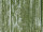 feuille auto-adhésive "bois gris-vert" 67,5cm x 2m