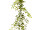 box tree hanger green 80cm