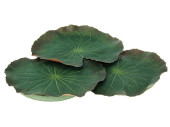 Seerosenblatt 3-tlg. grün