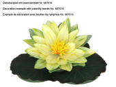 Seerosenblüte "Botanik" gelb