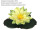 fleur de nymphéa "Botanique" jaune