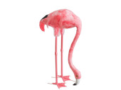 flamant rose "plumes" tête en bas 45 x 20...