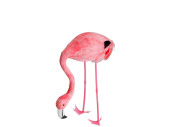 Flamingo "Federn" Kopf unten H 39cm