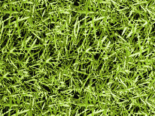 foil grass "Highlands" 135cm