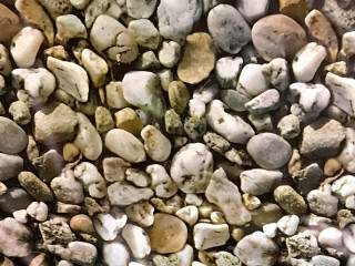 feuille caillou "Rocks" l 135cm