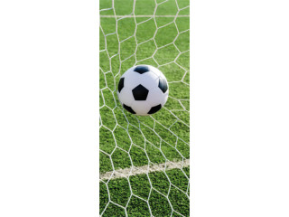 Textilbanner "Fussball im Netz" 75 x 180cm