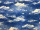 foil clouds "Adria" 145cm