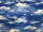 Folie Wolken "Adria" B 145cm