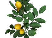 guirlande de citrons 180cm
