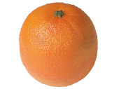 orange "natural" Ø 7cm, L 8cm