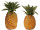 Ananas "natural" in versch. Grössen