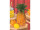 ananas "natural" h 28cm