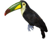 toucan "poly/plumes" noir-vert