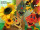 Drachen "Sunflower" 64 x 50cm, L 145cm orange