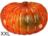 pumpkin round XXL Ø 40 x h 22cm