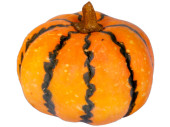 mixed pumpkins 5 pcs.
