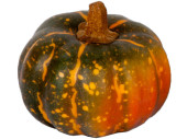 mixed pumpkins 5 pcs.