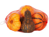 mixed pumpkins 5 pcs.