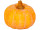 mixed pumpkins 5 pcs.