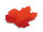 feuilles dérable dautomne 5 - 9cm 48 pcs.