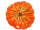 citrouille grande Ø 32cm orange-jaune