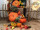 pumpkin big Ø 32cm orange-yellow