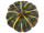 citrouille ronde Ø 23cm vert-jaune