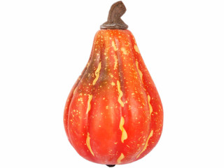 citrouille oblongue 20cm orange