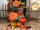 pumpkin oblong 20cm orange