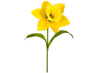 narcisse "Grande" jaune 77cm