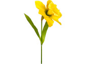 narcisse "Grande" jaune 77cm