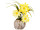 Blumen in Rindenkugel gelb 3 Blüten, Ø 16 x H 20cm, Kugel Ø 7.5cm