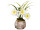 Blumen in Rindenkugel weiss 3 Blüten, Ø 16 x H 20cm, Kugel Ø 7.5cm