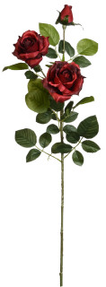 Rosenzweig x3 Luxor rot H 90cm, 2 Blüten 1 Knospe