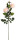 Rosenzweig x3 Luxor rose H 90cm, 2 Blüten 1 Knospe